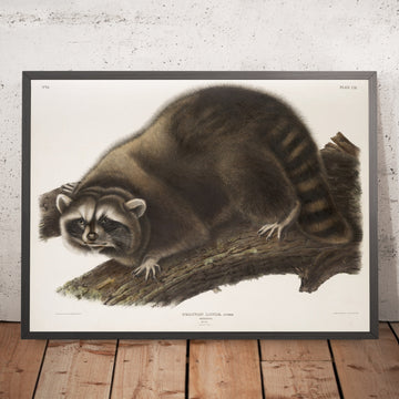 A framed image of 