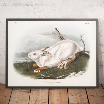 A framed image of 