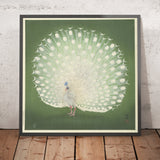 Peacock by Ohara Koson, 1925