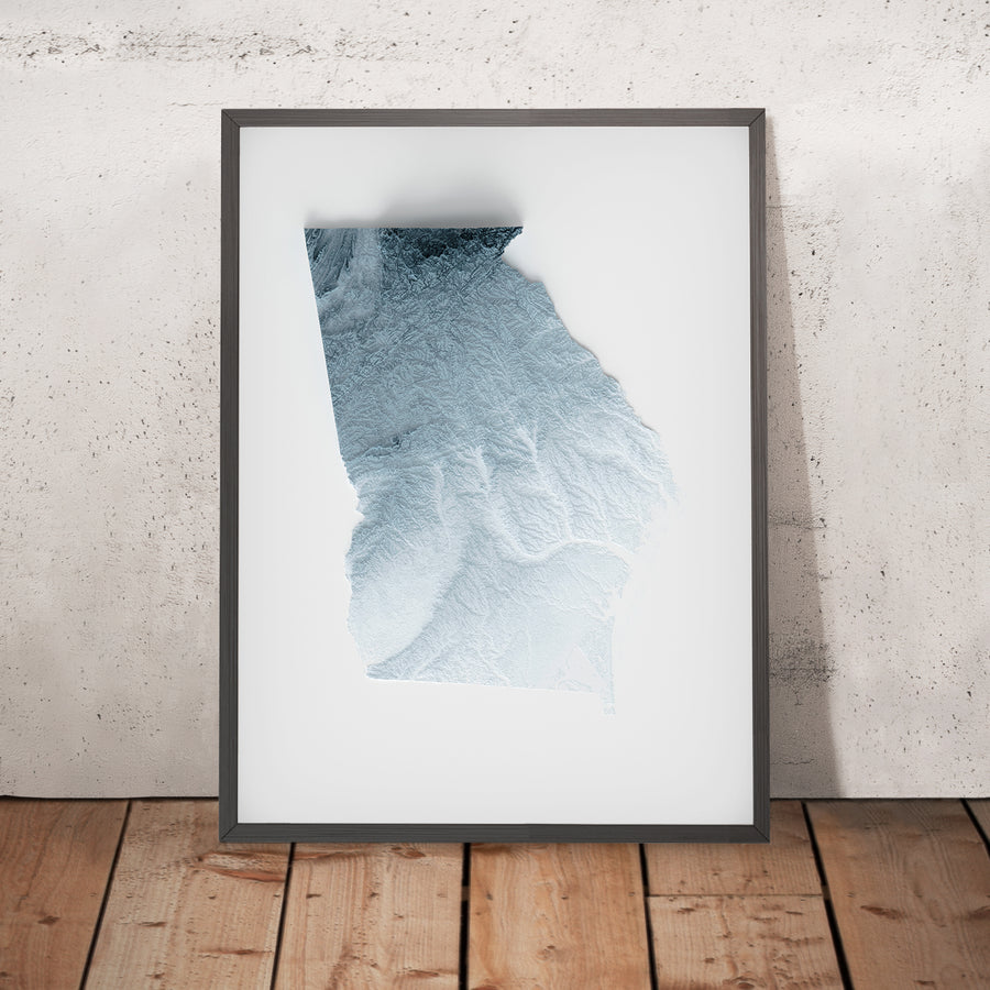 A framed image of a 3D style topographic relief map ofGeorgia