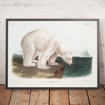 A framed image of 