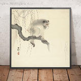 Monkey on Tree Branch by Ohara Koson, 1900