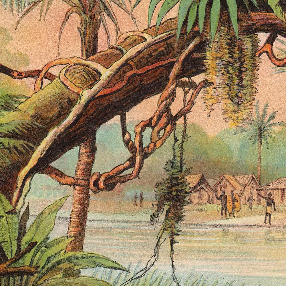 Zona tropical de Levi Walter Yaggy, 1893