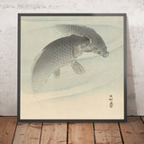 Two Carp II by Ohara Koson, 1900