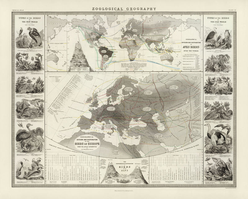 Visualiser thumbnail artwork