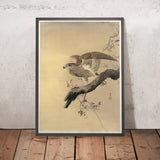 Hawk by Ohara Koson, 1887