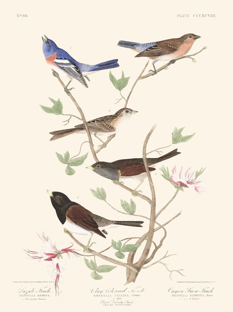 Visualiser thumbnail artwork