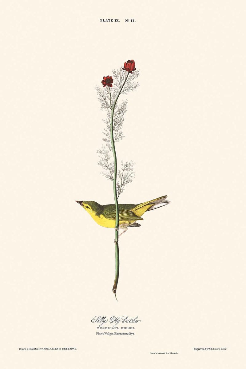 Visualiser thumbnail artwork