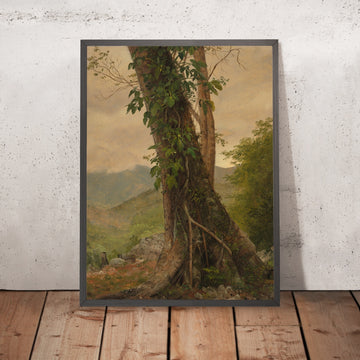 A framed image of 