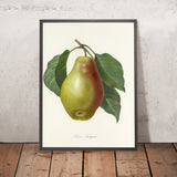 Pear (Plate 78) by Pierre Joseph Redouté, 1827