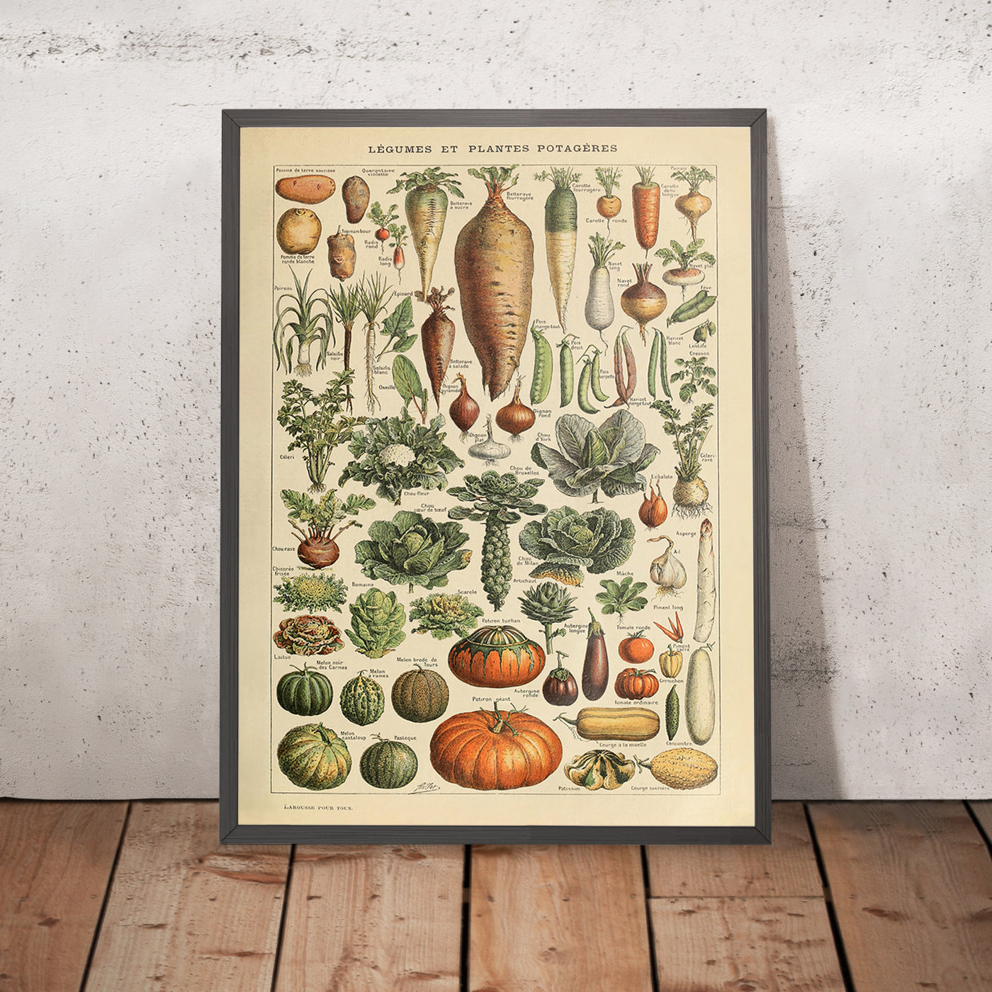 A framed image of Legumes by Adolphe Millot, 1890