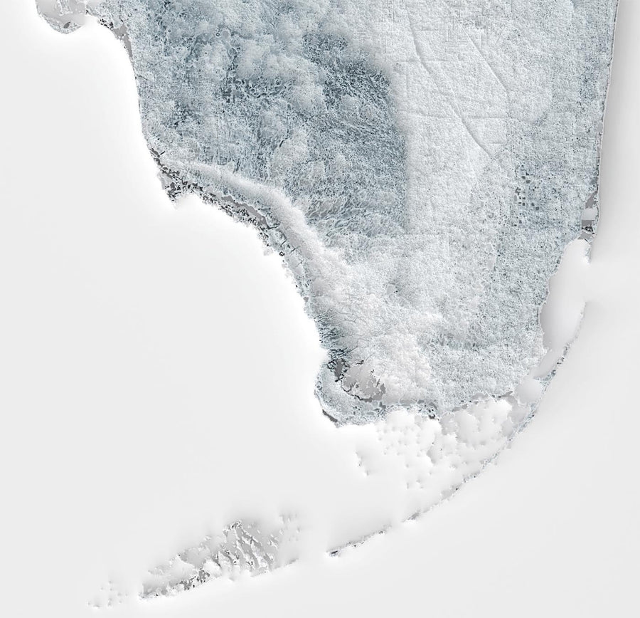 Mappa topografica 3D in rilievo della Florida 