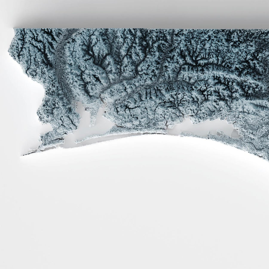 Mappa topografica 3D in rilievo della Florida 