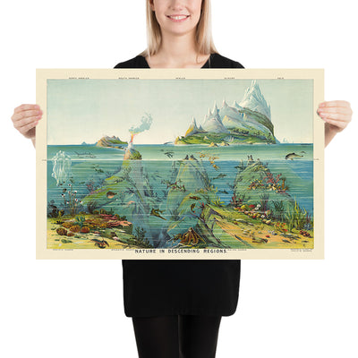 La nature dans les régions descendantes de Levi Walter Yaggy, 1893