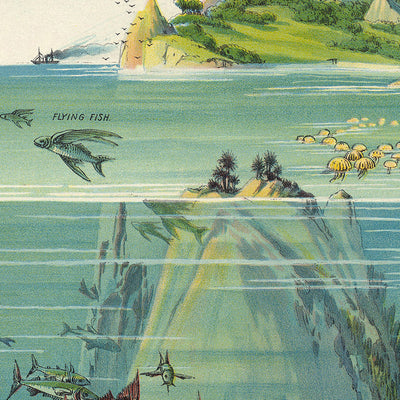 Nature in Descending Regions by Yaggy, 1893