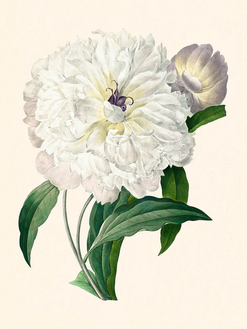 Visualiser thumbnail artwork