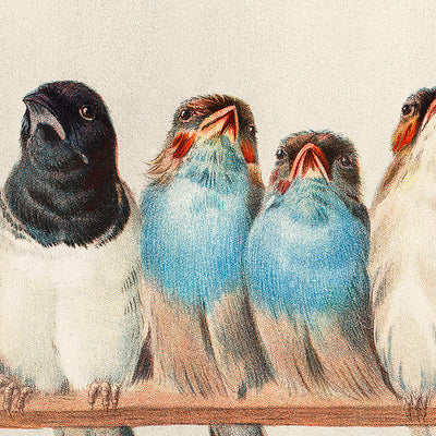 Una percha de pájaros de Hector Giacomelli, 1880