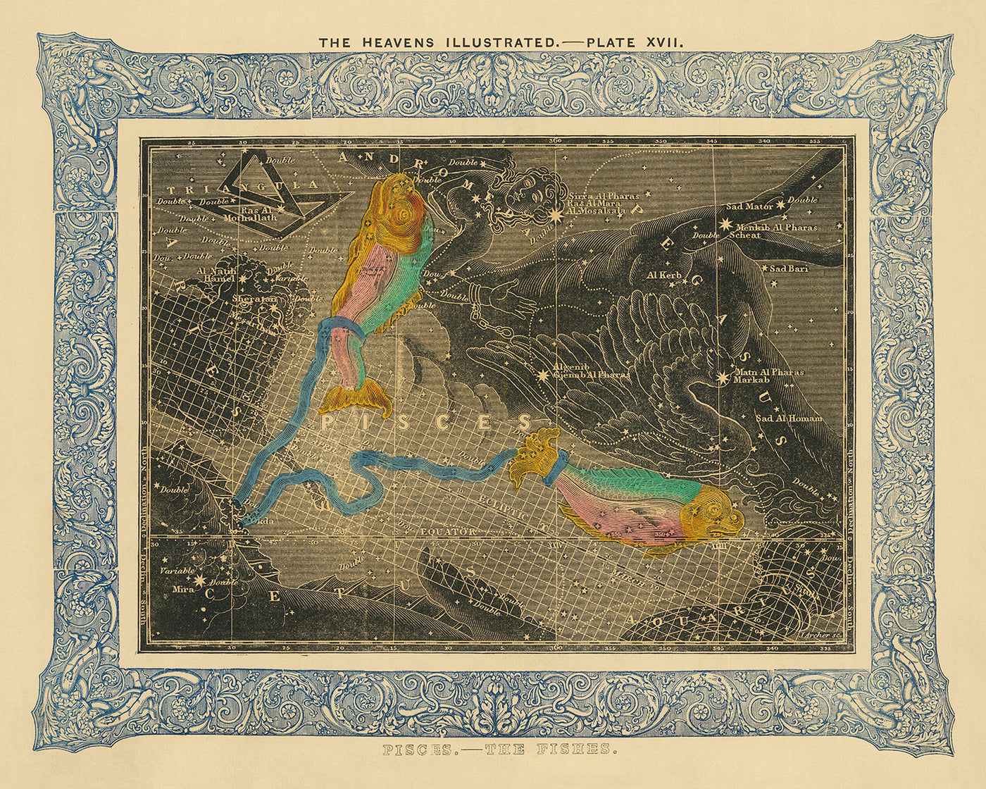 Piscis, Los peces, de Duncan Bradford, 1837