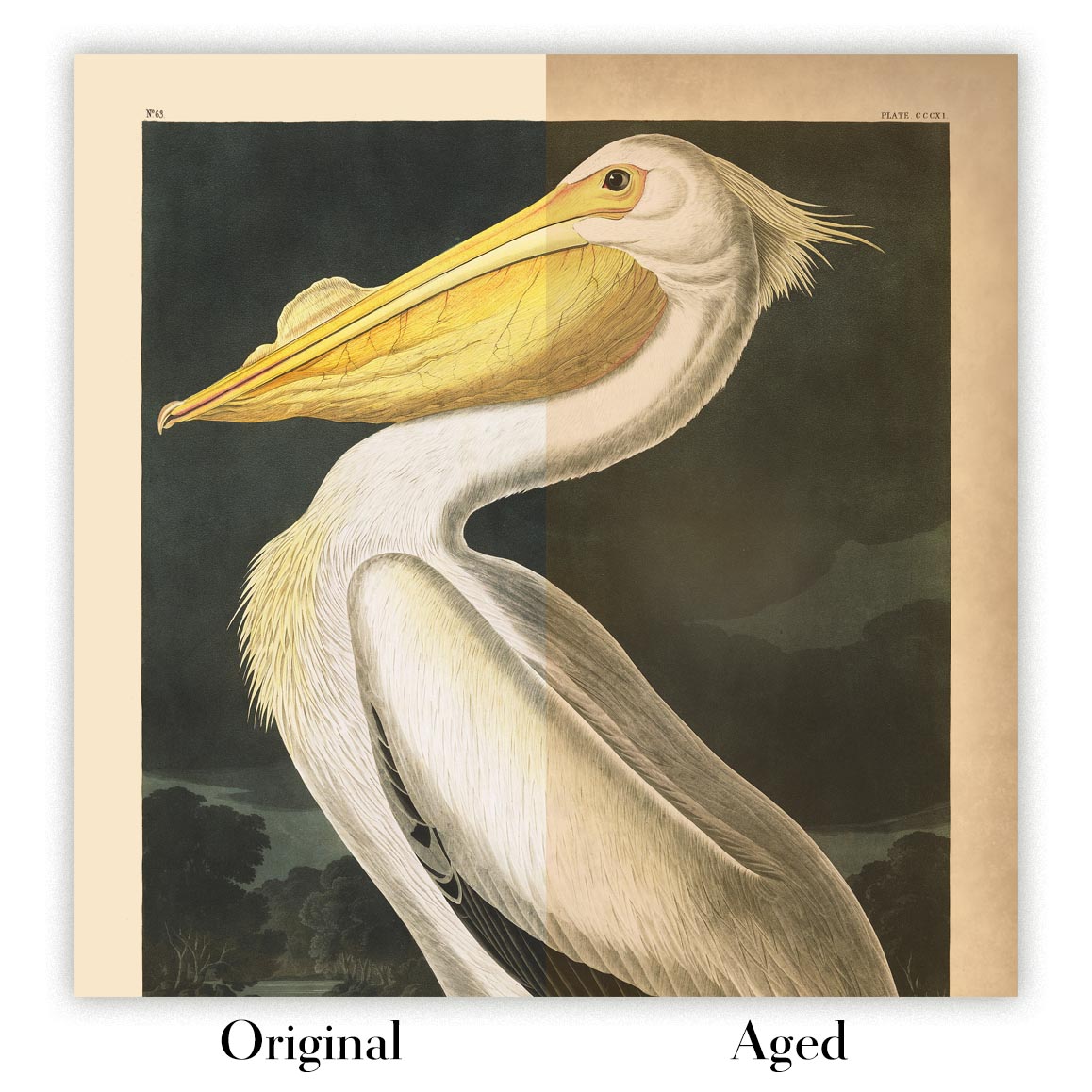 Image showing the difference between an Original art print and an Aged art print