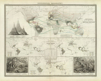 Carte de l'Ancien Monde de la répartition des reptiles par Johnston, 1856 : serpents, lézards et autres illustrations de reptiles