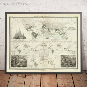 Mappa del Mondo Antico della Distribuzione dei Rettili di Johnston, 1856: Illustrazioni di Serpenti, Lucertole e Altri Rettili 