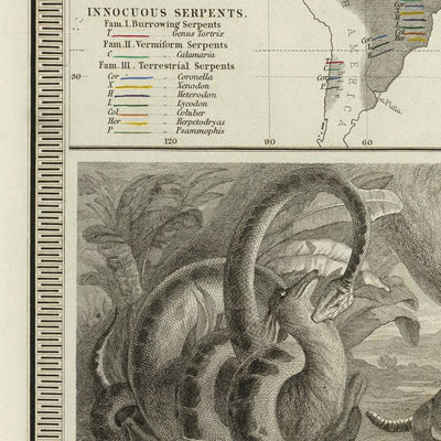 Mapa del Viejo Mundo de distribución de reptiles por Johnston, 1856: serpientes, lagartos y otras ilustraciones de reptiles