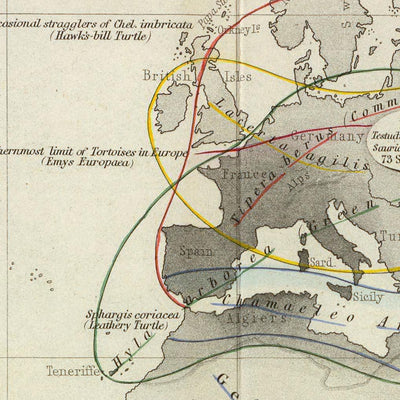 Mapa del Viejo Mundo de distribución de reptiles por Johnston, 1856: serpientes, lagartos y otras ilustraciones de reptiles