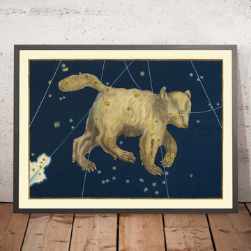 Old Star Map of Ursa Major (Great Bear) by Johann Bayer, 1603 - Celestial Constellation Chart