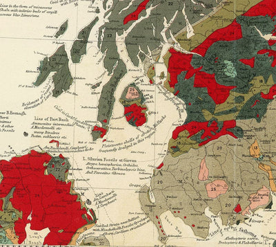 Antiguo mapa geológico y paleontológico de Escocia, 1854, por A.K. Johnston y Edward Forbes - Raro gráfico de pared de fósiles