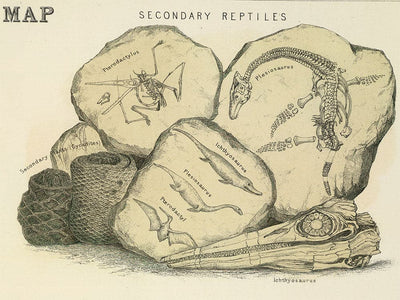 Bolso de Escocia con un mapa antiguo del mapa geológico y paleontológico de Escocia de 1854, por A.K. Johnston y E.Forbes
