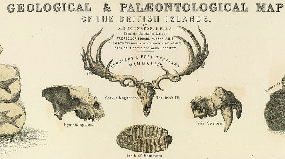 Máscara escocesa / Pañuelo para el cuello con un mapa antiguo del mapa geológico y paleontológico de las Islas Británicas (Escocia) de 1854, por A.K. Johnston y Edward Forbes