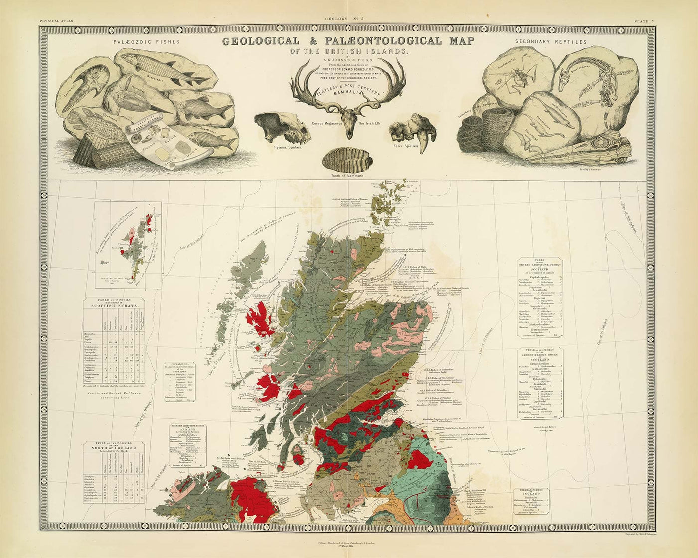 Ancienne carte géologique et paléontologique de l'Écosse, 1854, par A.K. Johnston et Edward Forbes - Rare Fossil Wall Chart