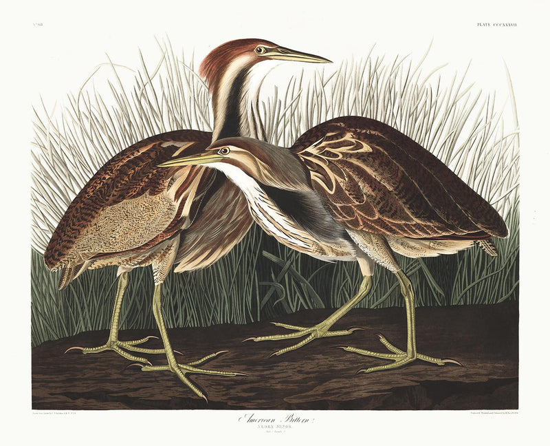 Visualiser thumbnail artwork