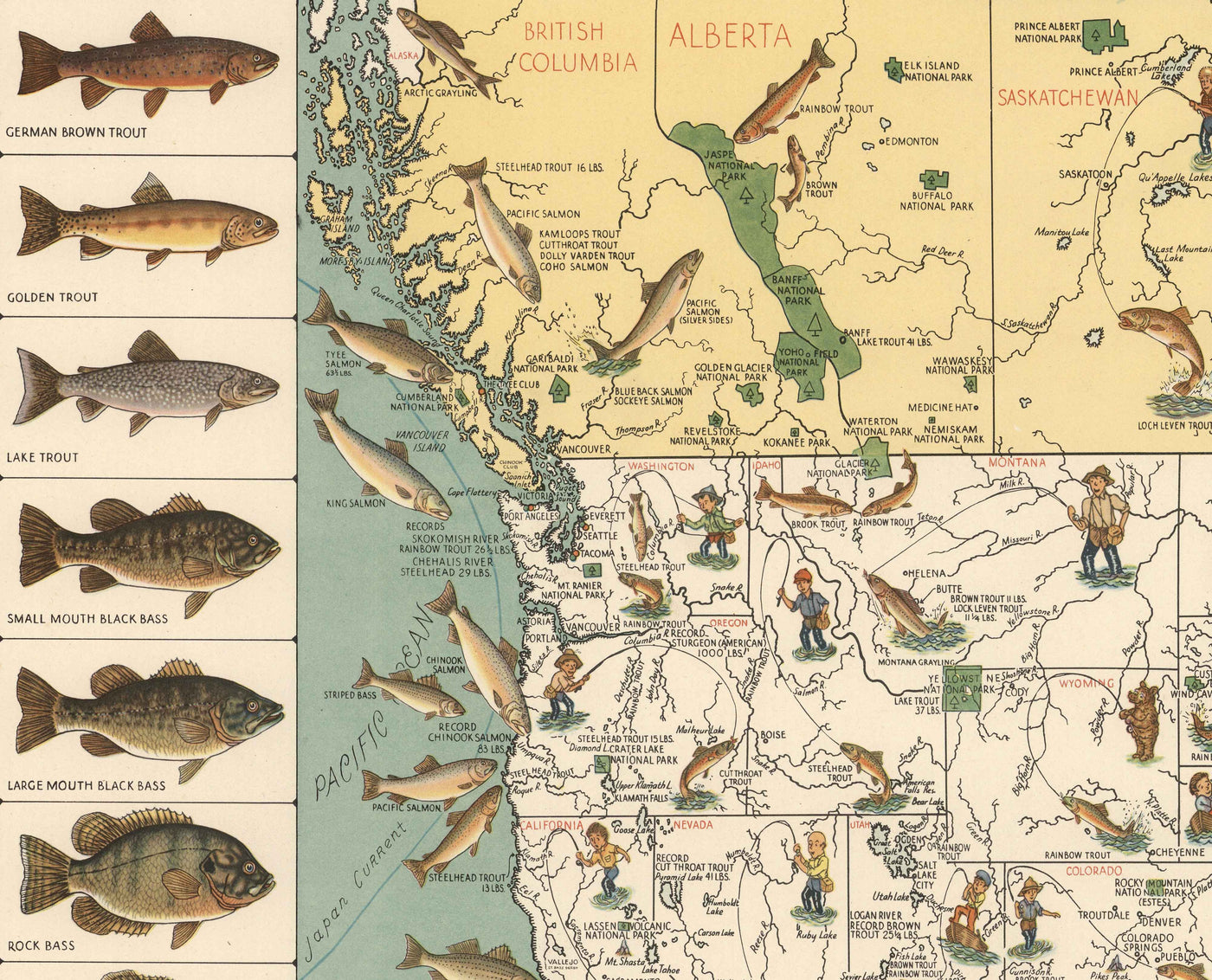 Ancienne carte picturale des États-Unis pour le gros gibier, 1936 - Alaska, Floride, Michigan, Minnesota, Louisiane