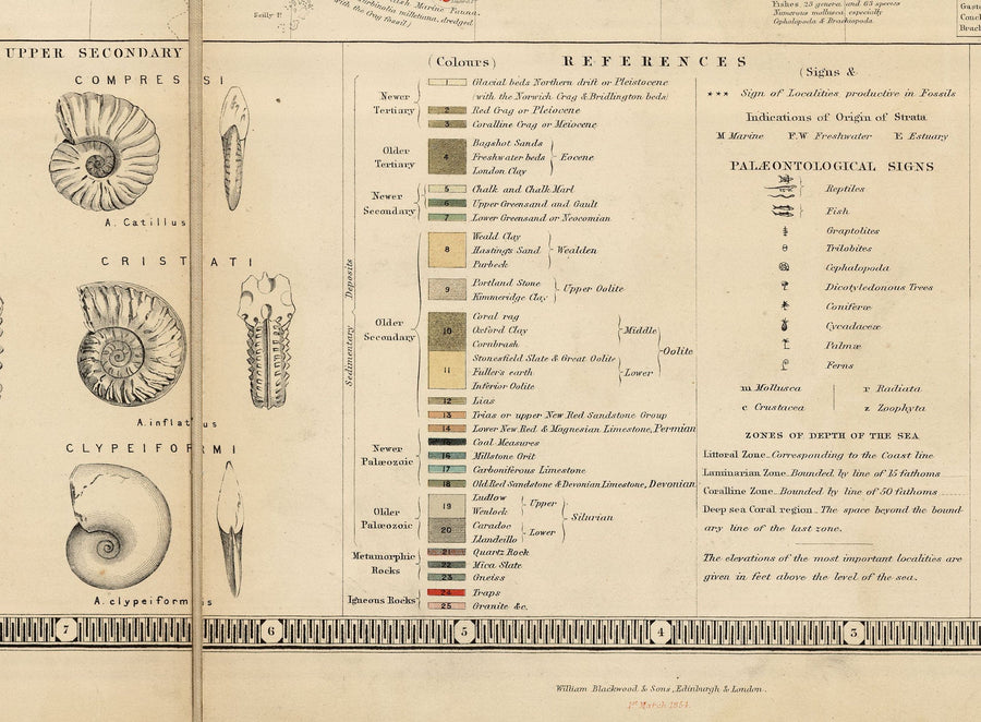 Ancienne carte géologique et fossile des îles britanniques, 1854, par A.K. Johnston et Edward Forbes - Royaume-Uni, Écosse, Irlande, Paléontologie