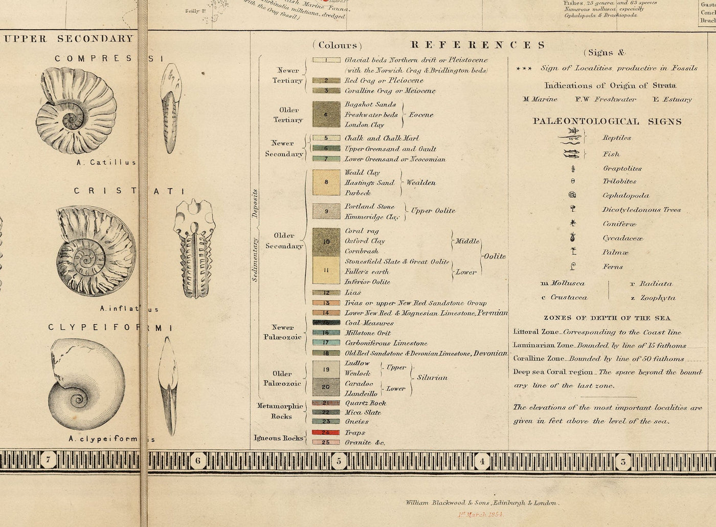 Alte Geologie- und Fossilienkarte der Britischen Inseln, 1854, von A.K. Johnston und Edward Forbes - UK, Schottland, Irland, Paläontologie