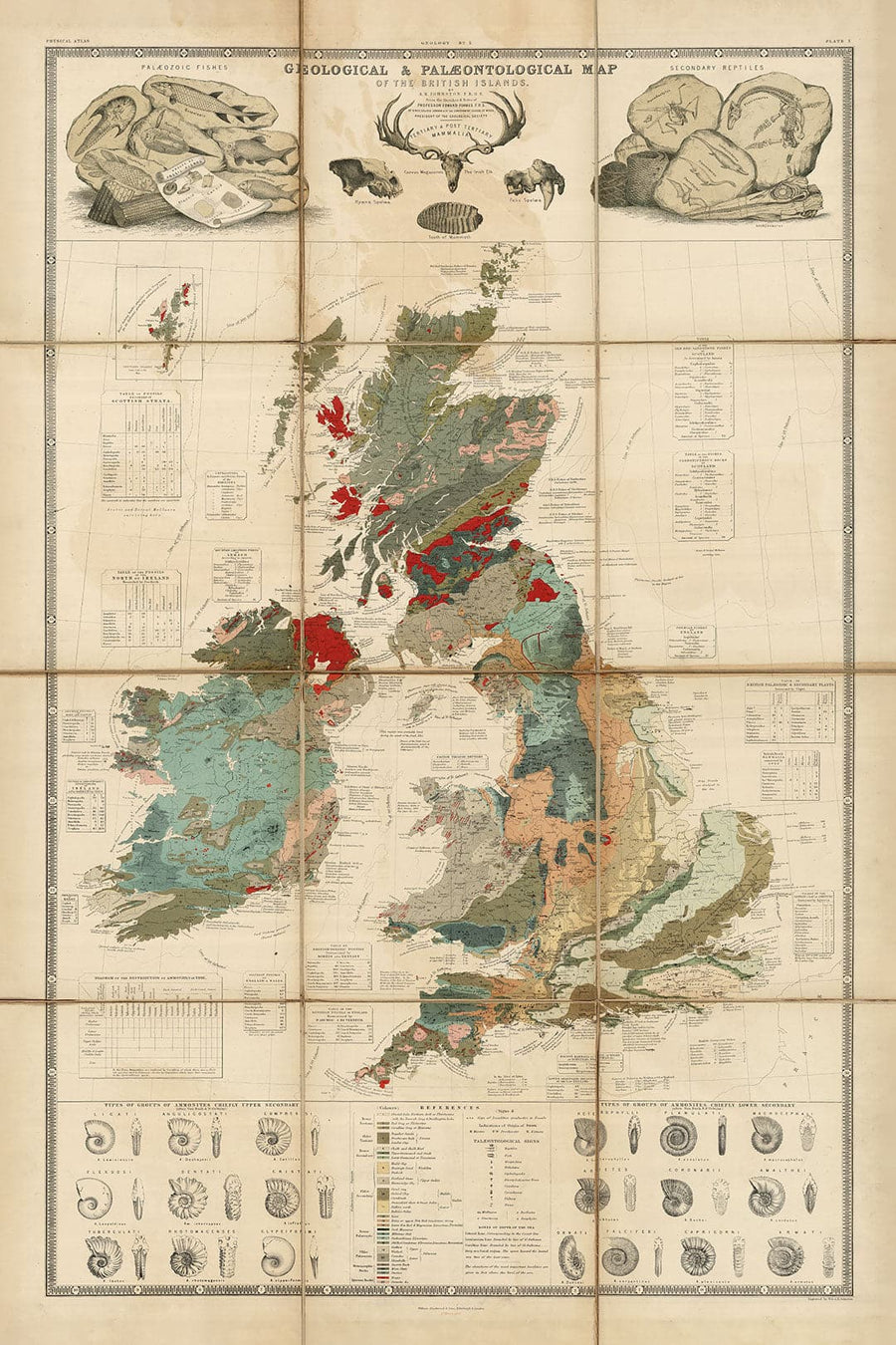Ancienne carte géologique et fossile des îles britanniques, 1854, par A.K. Johnston et Edward Forbes - Royaume-Uni, Écosse, Irlande, Paléontologie