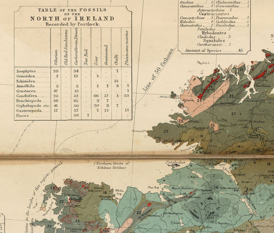 Ancienne carte géologique et fossile des îles britanniques, 1854, par A.K. Johnston et Edward Forbes - Royaume-Uni, Écosse, Irlande, Paléontologie