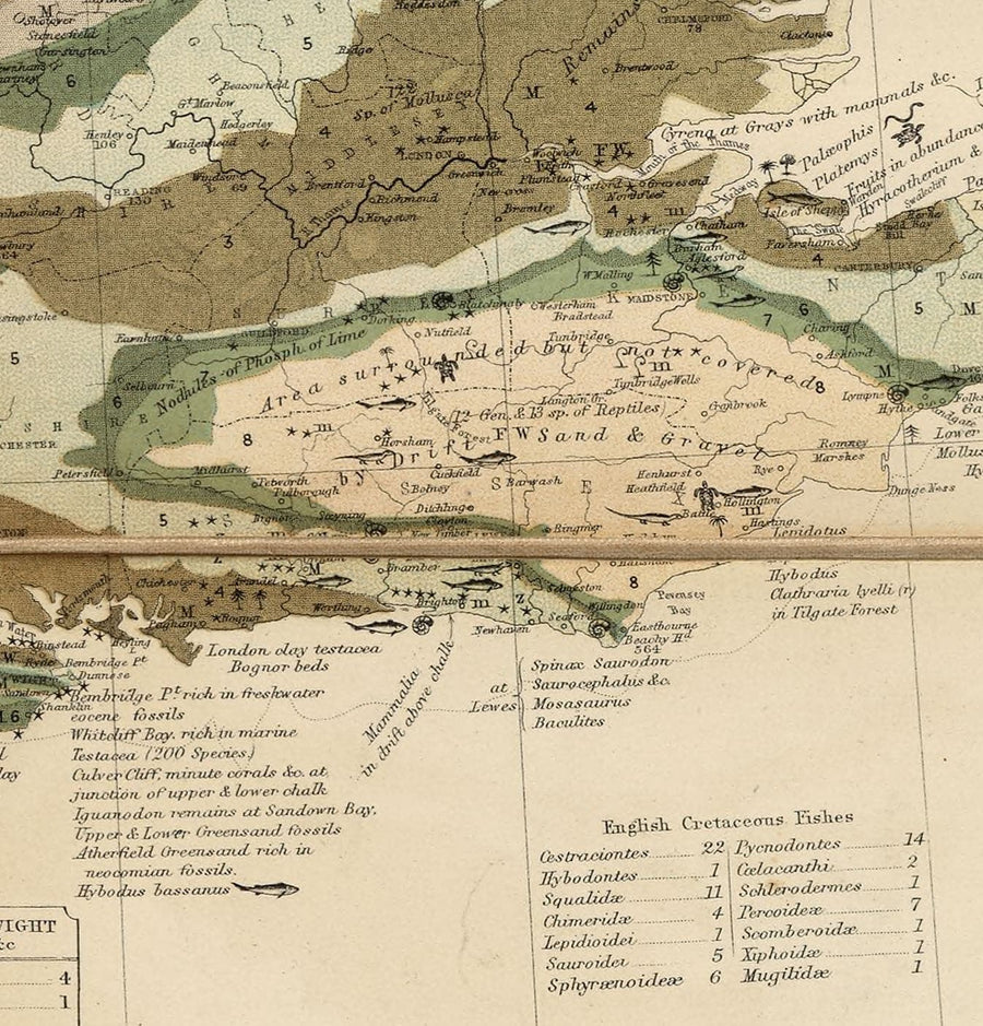 Ancienne carte géologique et fossile des îles britanniques, 1854, par A.K. Johnston et Edward Forbes - Royaume-Uni, Écosse, Irlande, Paléontologie