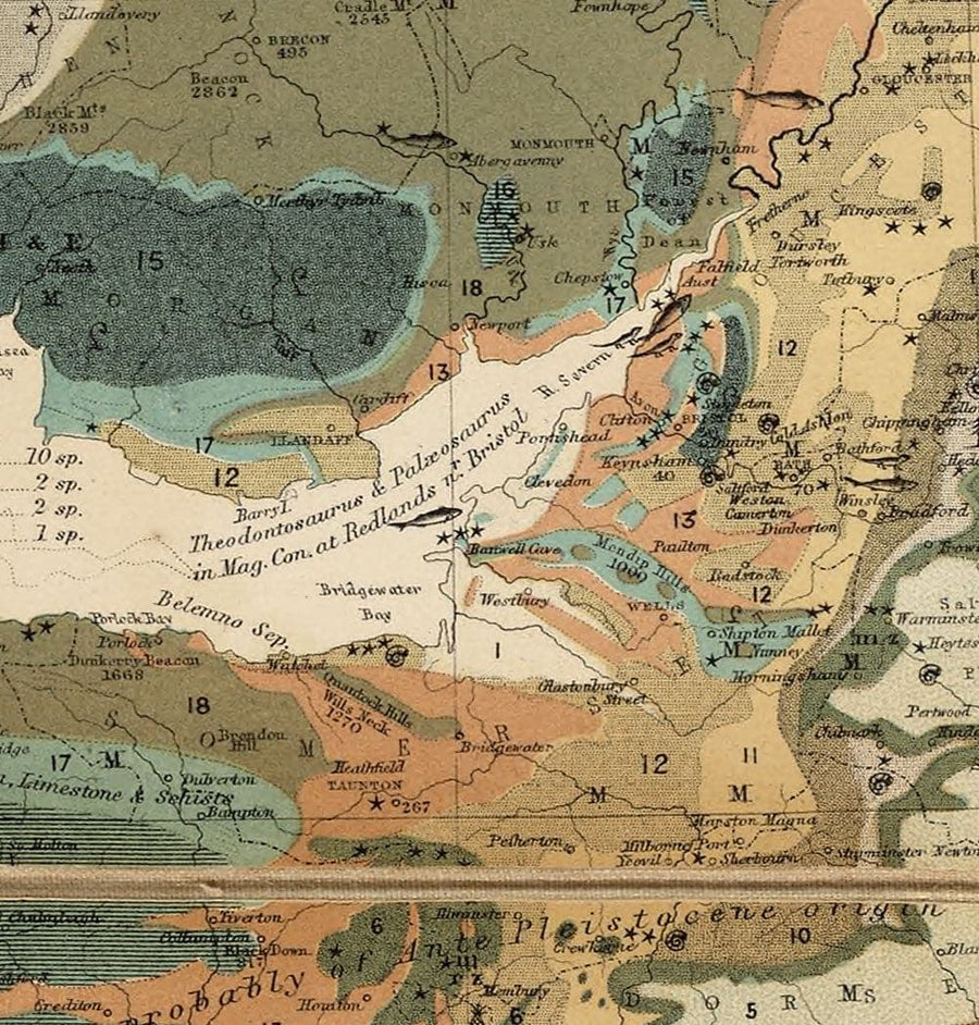 Ancienne carte géologique et fossile des îles britanniques, 1854, par A.K. Johnston et Edward Forbes - Royaume-Uni, Écosse, Irlande, Paléontologie