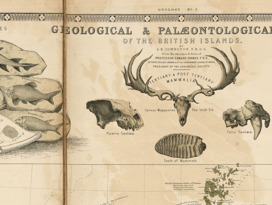 Ancienne carte géologique et fossile des îles britanniques, 1854, par A.K. Johnston et Edward Forbes - Royaume-Uni, Écosse, Irlande, Paléontologie