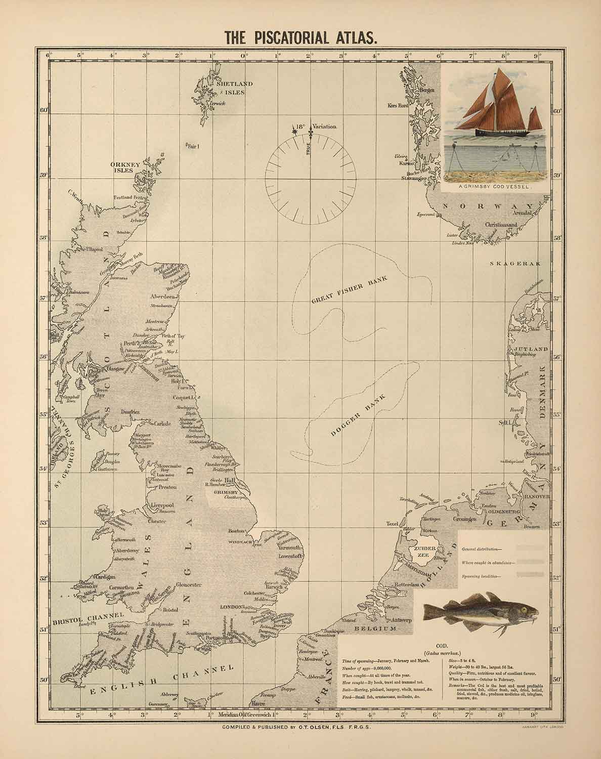 Alte Kabeljaufischkarte der Nordsee, 1883 von O.T. Olsen - Kabeljaufischerei, Verbreitung, Laichen, etc.