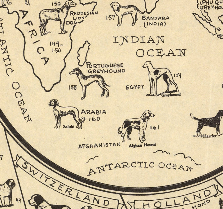 Old Dog Map, 1936 World Atlas Chart of Breeds Terrier, Bulldog
