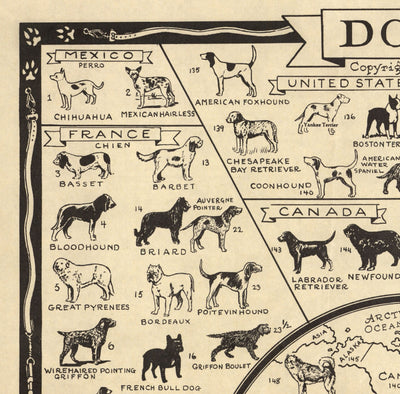 Alte Hundekarte, 1936 - Weltatlas Karte der Rassen - Terrier, Bulldogge, Mops, Deutscher Schäferhund, Husky, Retriever, Schäferhund