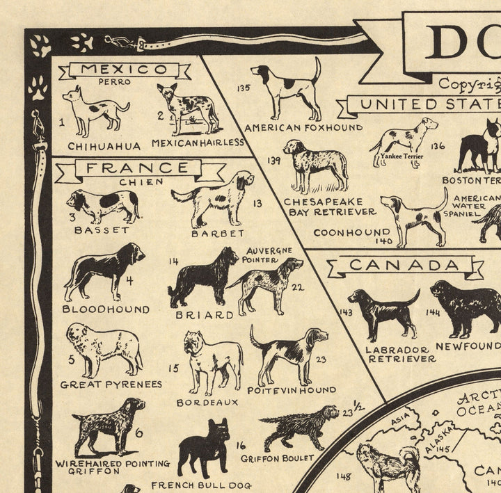 Old Dog Map, 1936 World Atlas Chart of Breeds Terrier, Bulldog
