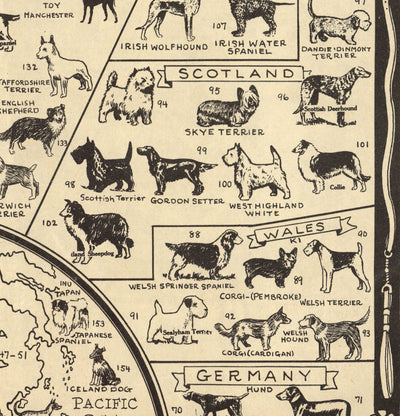 Alte Hundekarte, 1936 - Weltatlas Karte der Rassen - Terrier, Bulldogge, Mops, Deutscher Schäferhund, Husky, Retriever, Schäferhund