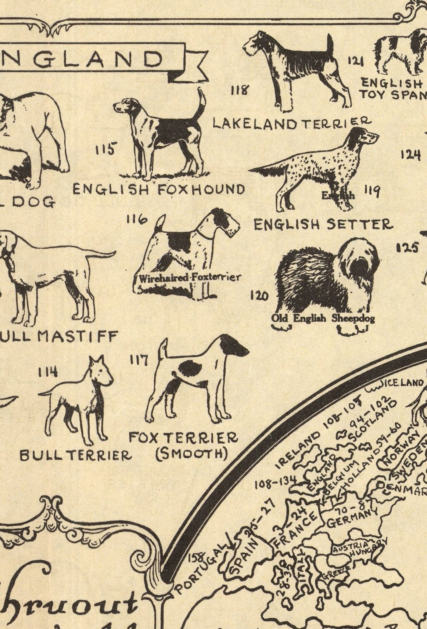 Ancienne carte des chiens, 1936 - Atlas mondial des races - Terrier, Bulldog, Carlin, Berger allemand, Husky, Retriever, Chien de berger