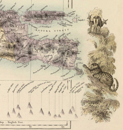 Dutch Colonial Maps Java Old Map of the Dutch East Indies in 1872 by Fullarton - Borneo, Java ...