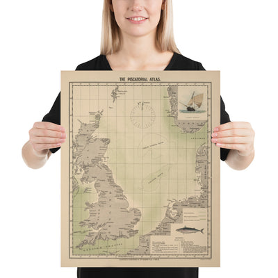 Ancienne carte des maquereaux de la mer du Nord, 1883, par O.T. Olsen - Pêche du maquereau, distribution, frai, etc.