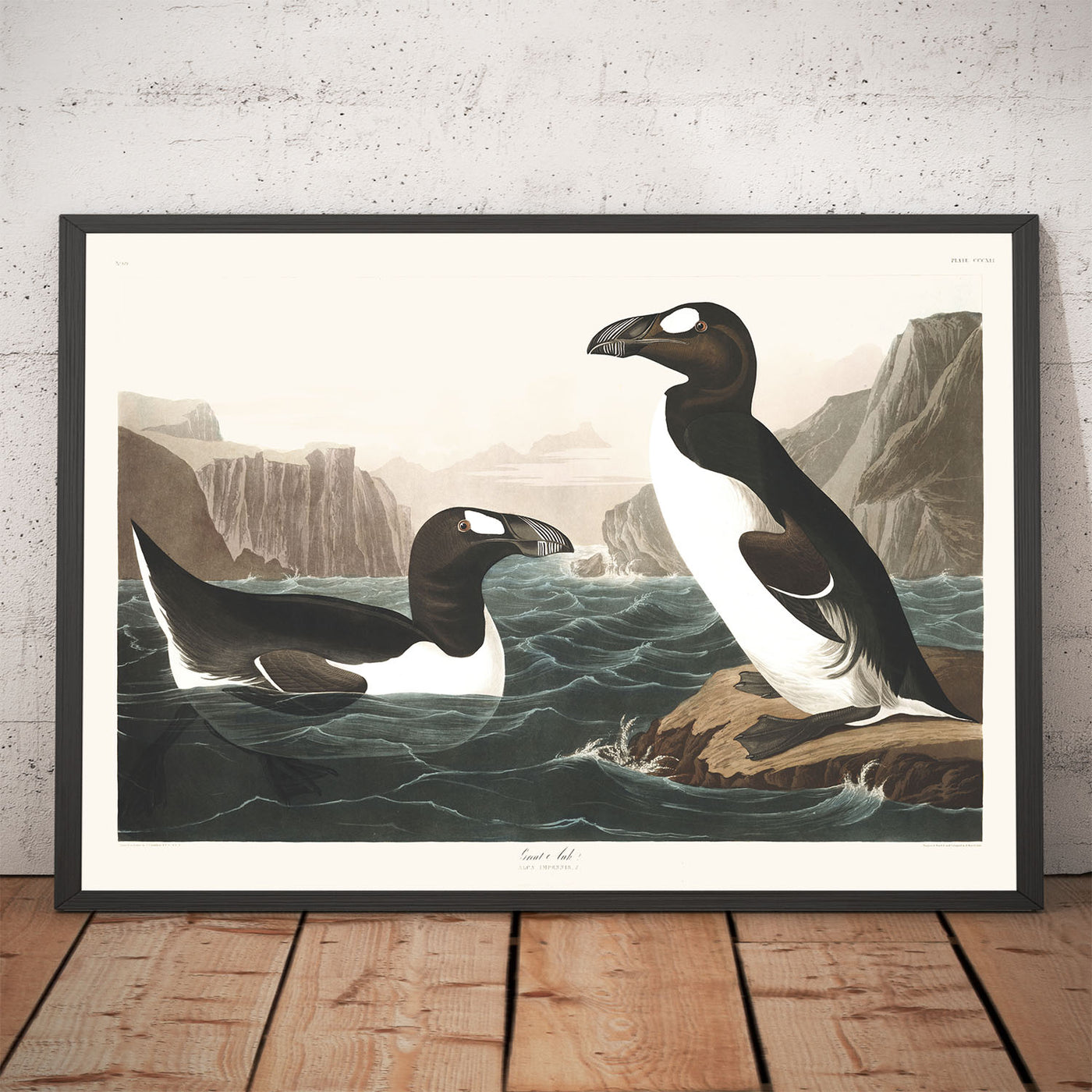 Großer Auk (Ausgestorbener Pinguin) von John James Audobon, 1827 - Personalisierte Kunst